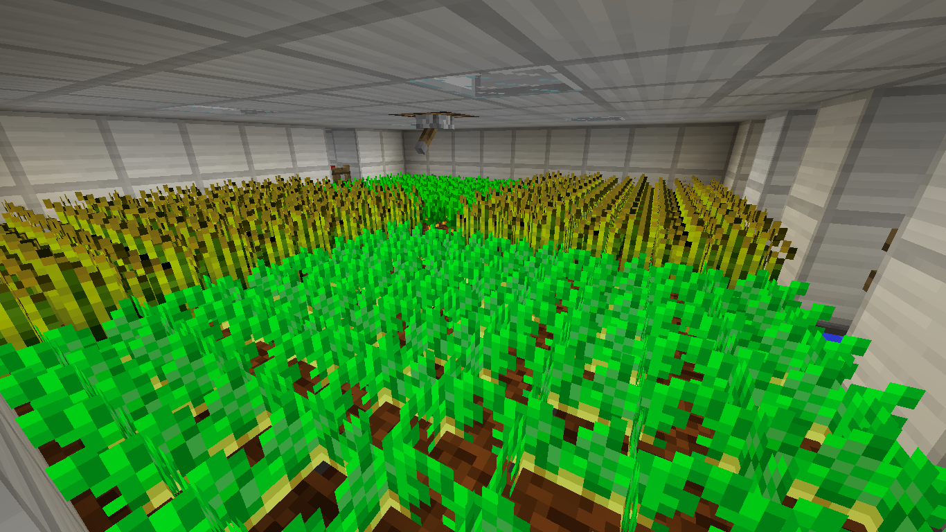 農場區域（一）：小麥、紅蘿蔔及薯仔