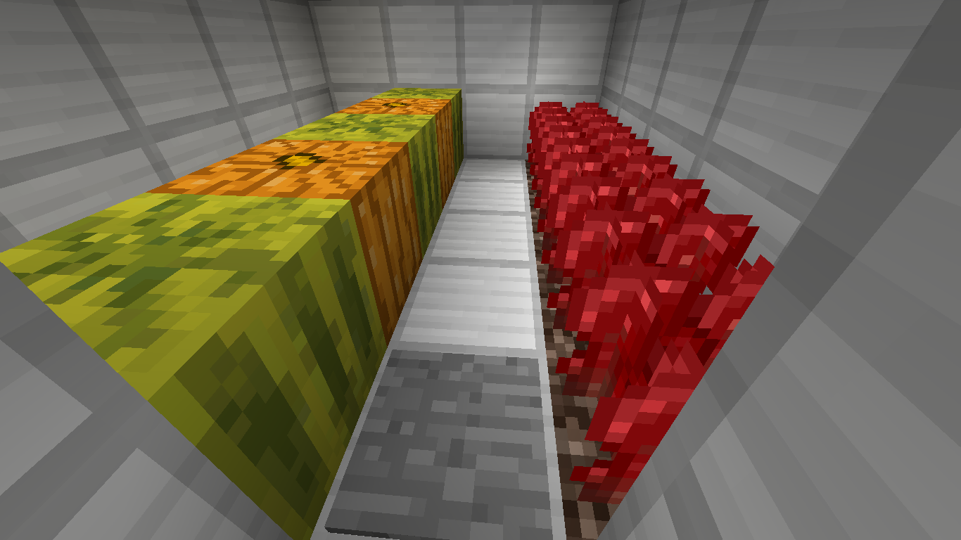 農場區域（二）：西瓜及南瓜