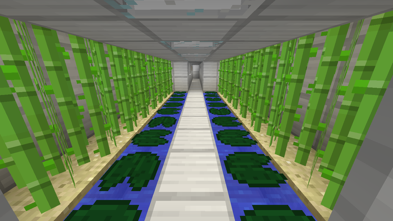 預留給某易的熊貓吃的竹樹